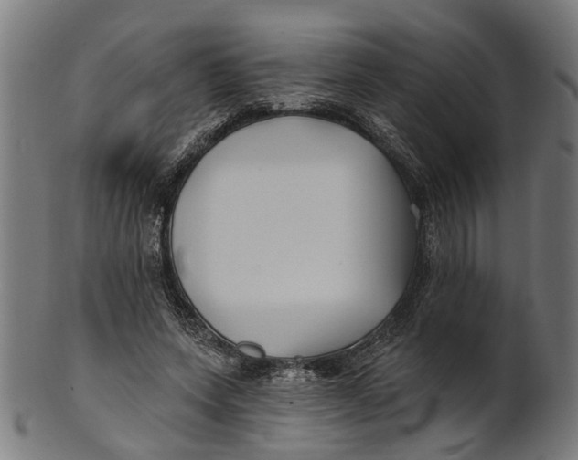 X0000100870543200807111320