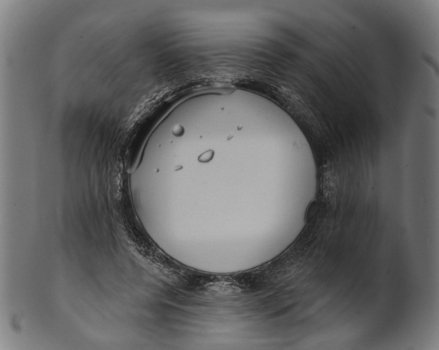 X0000100870544200807111320