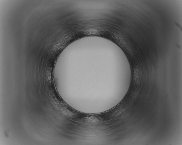 X0000100870545200807111320