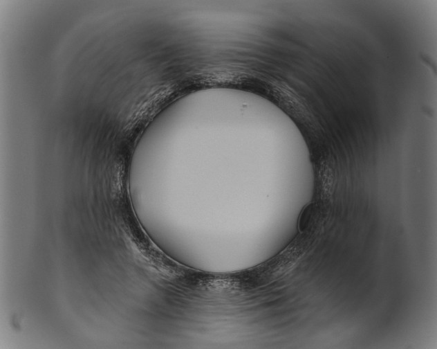 X0000100870546200807111320