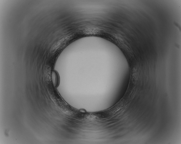 X0000100870547200807111320