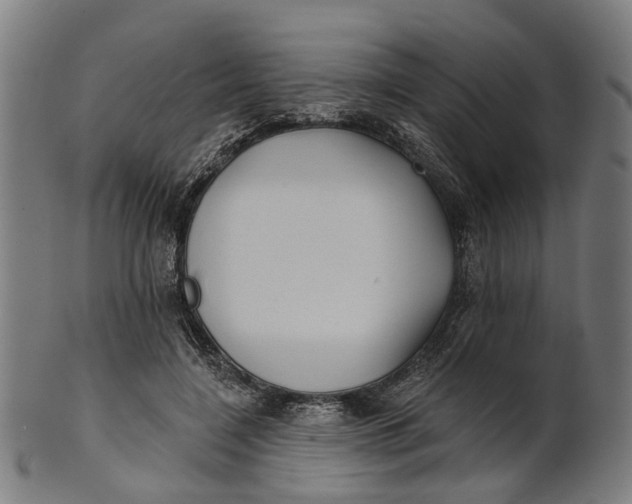 X0000100870548200807111320