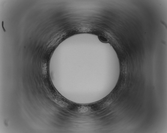 X0000100870549200807111320