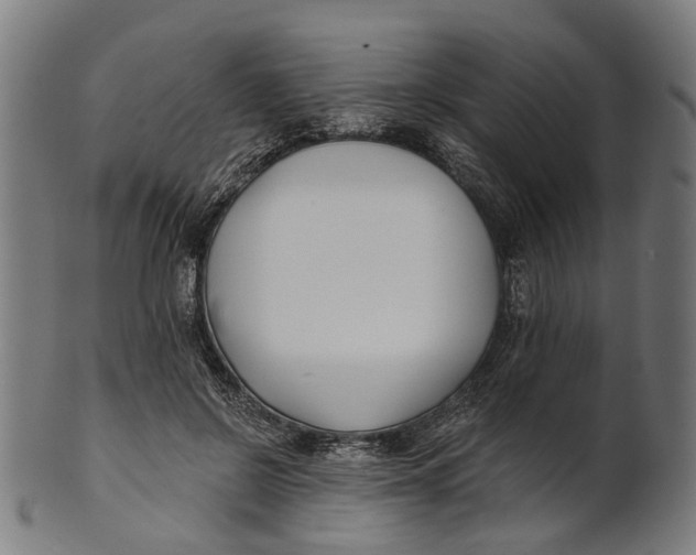 X0000100870550200807111320