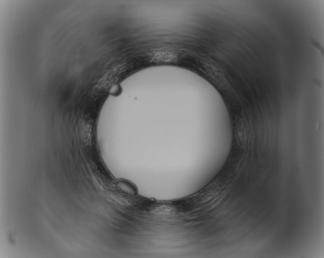 X0000100870551200807111320