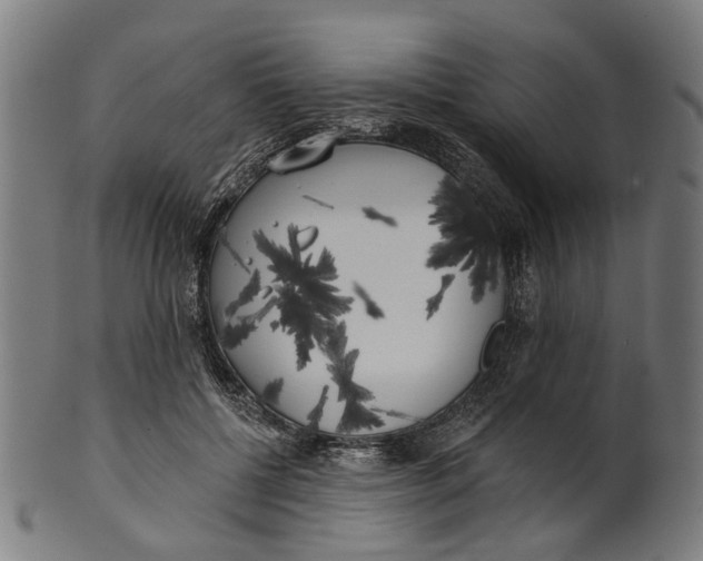 X0000100870552200807111320