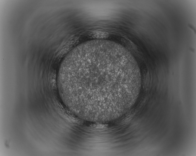 X0000100870553200807111320