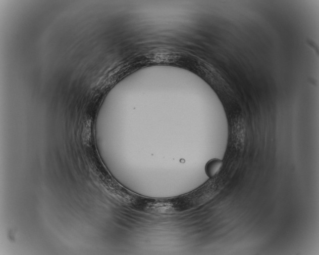 X0000100870554200807111320