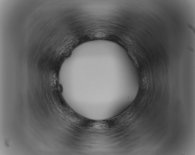 X0000100870555200807111320