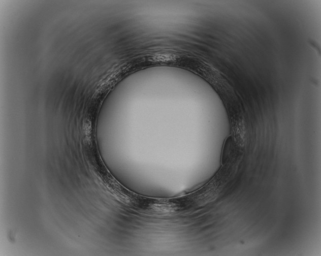 X0000100870556200807111320