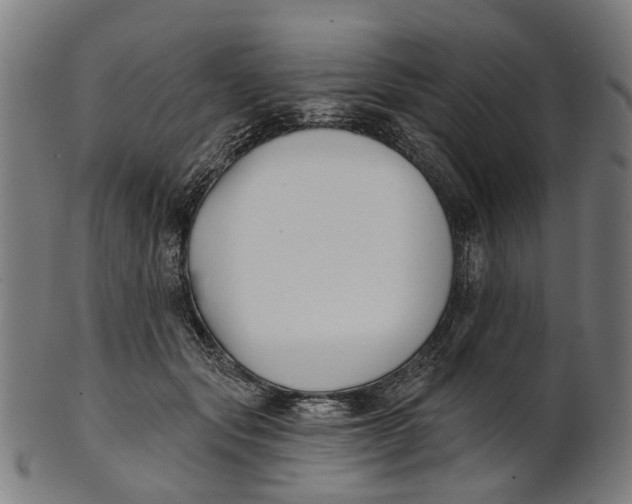 X0000100870557200807111320