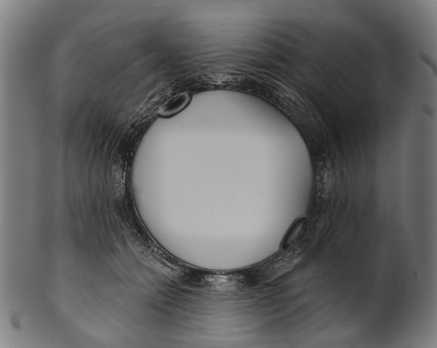 X0000100870558200807111320