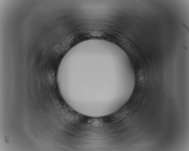 X0000100870559200807111321