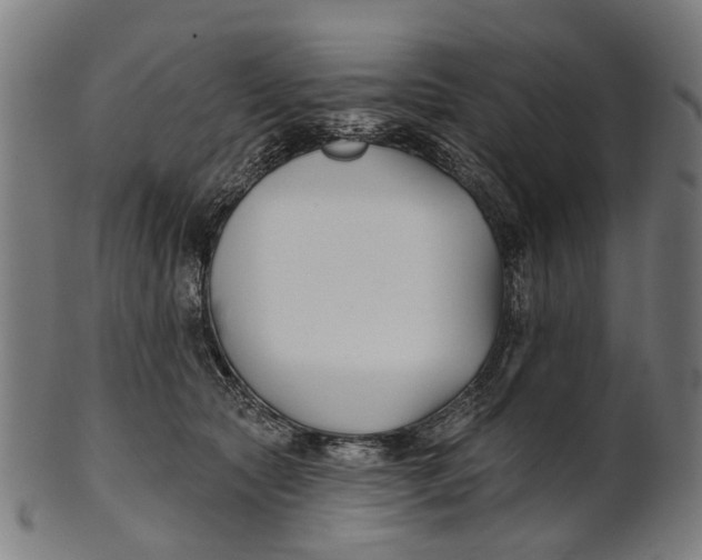 X0000100870561200807111321