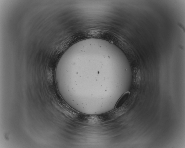 X0000100870562200807111321