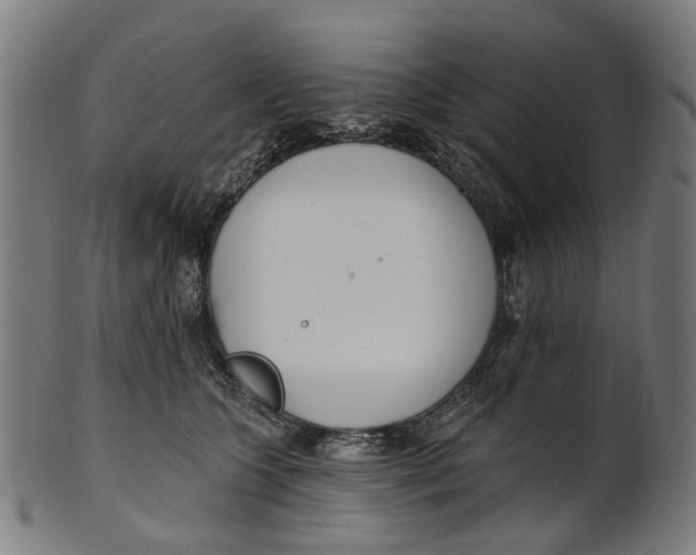 X0000100870563200807111321