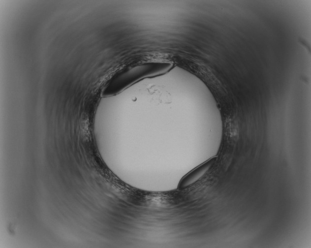 X0000100870564200807111321