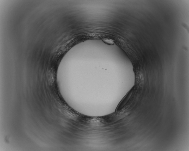 X0000100870566200807111321