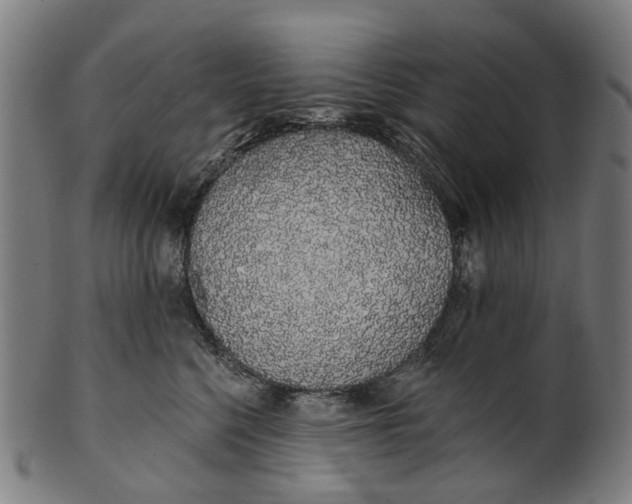 X0000100870568200807111321