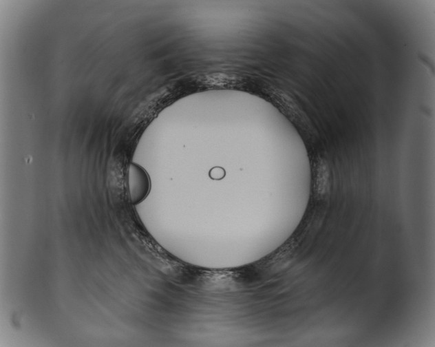 X0000100870569200807111321