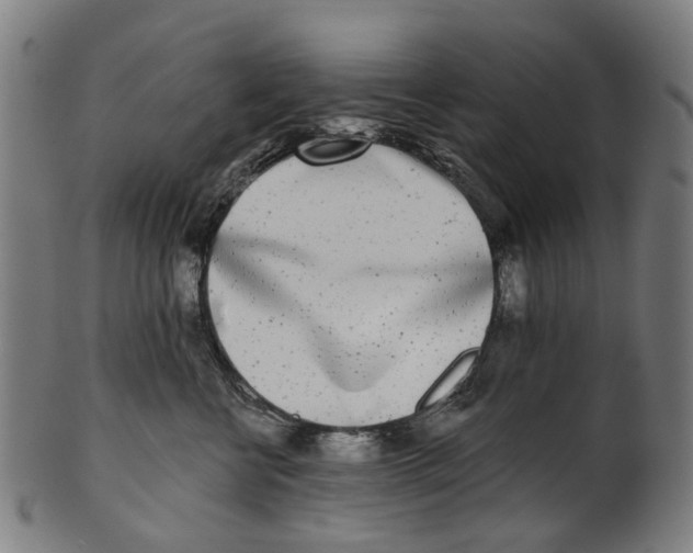 X0000100870570200807111321