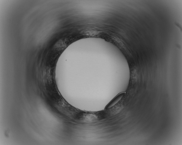 X0000100870572200807111321