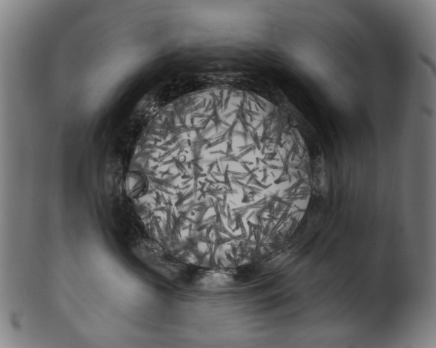 X0000100870573200807111321