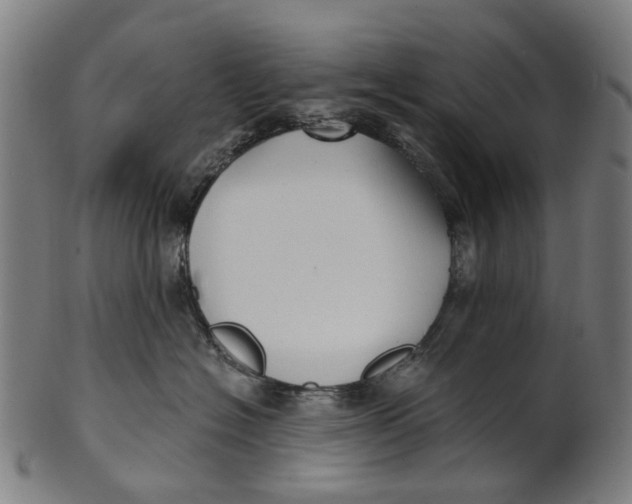 X0000100870574200807111321