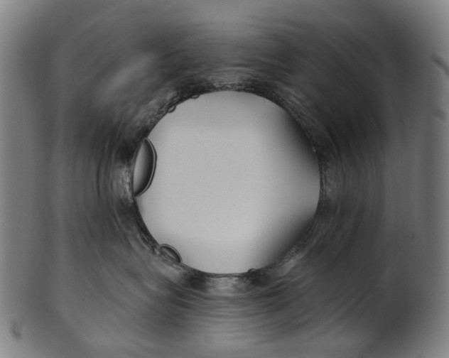 X0000100870575200807111321