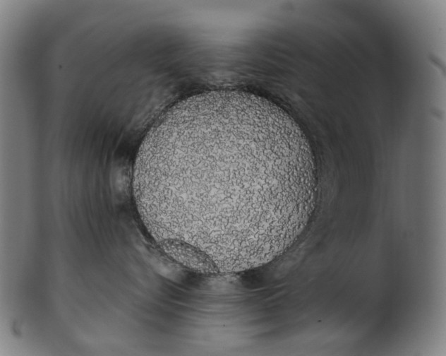 X0000100870576200807111321