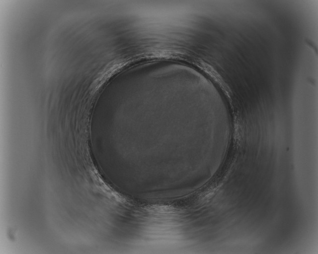 X0000100870577200807111320