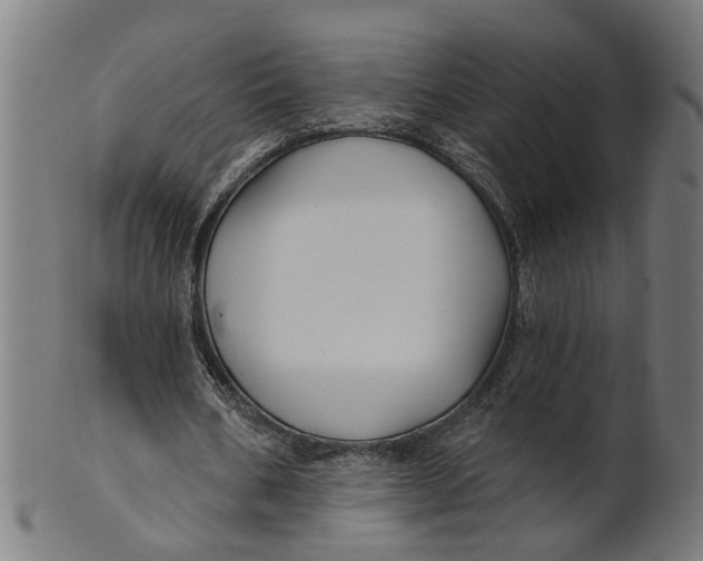 X0000100870578200807111320