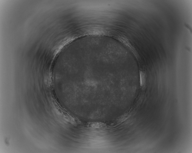 X0000100870579200807111320