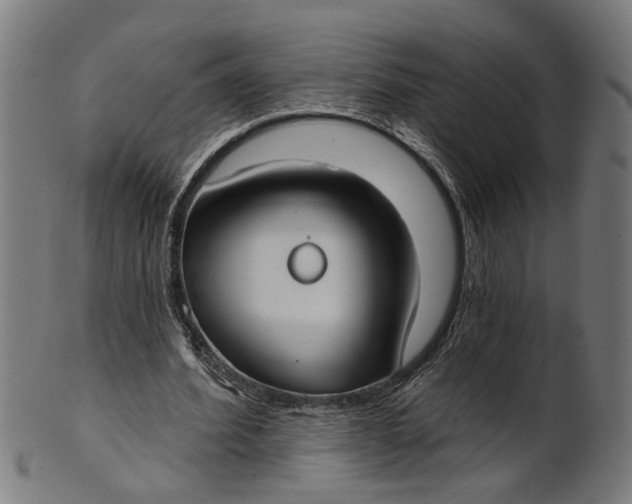 X0000100870580200807111320