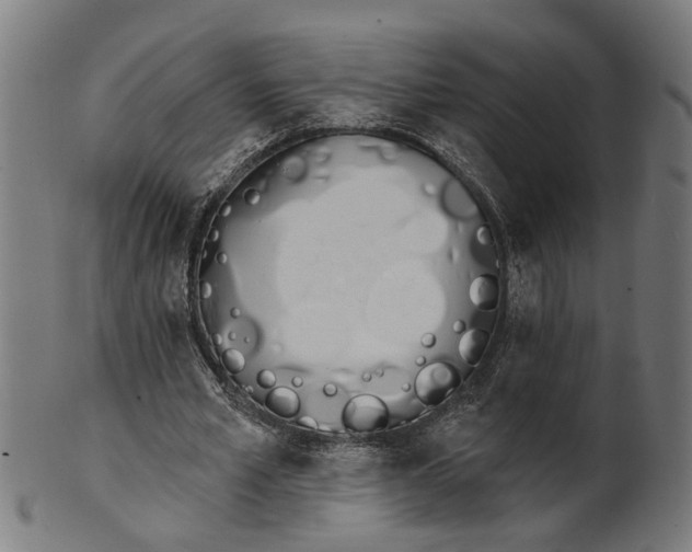 X0000100870581200807111320