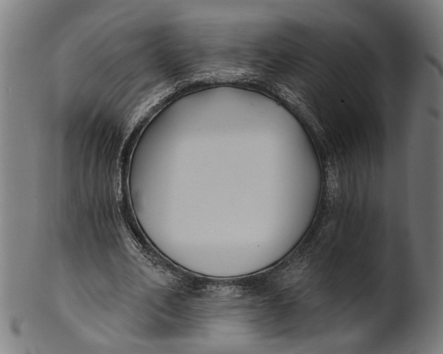 X0000100870582200807111320