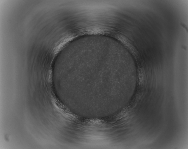 X0000100870583200807111320