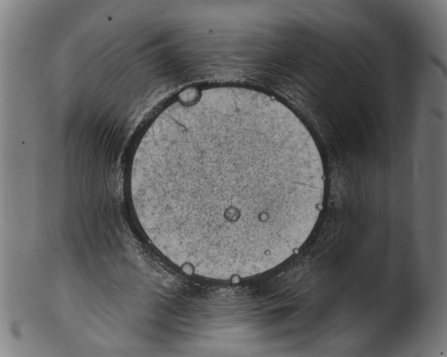 X0000100870584200807111320