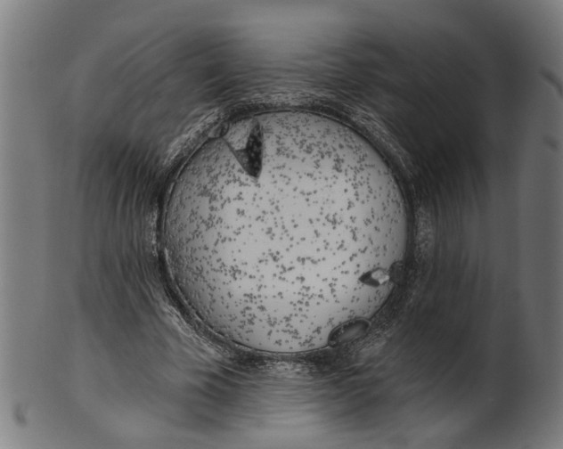 X0000100870585200807111320