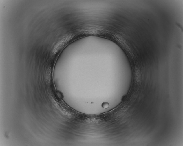 X0000100870586200807111320