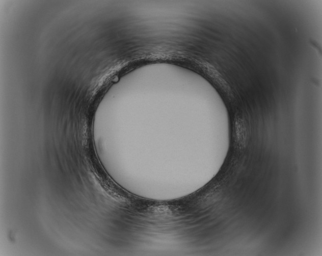 X0000100870588200807111320