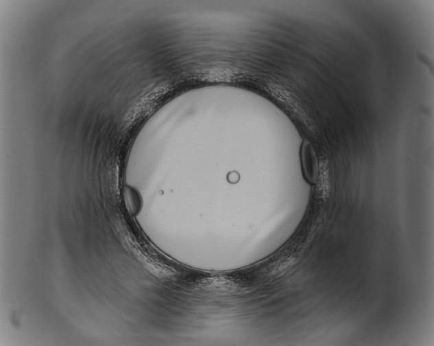 X0000100870589200807111320