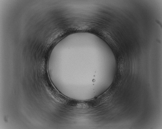 X0000100870591200807111320