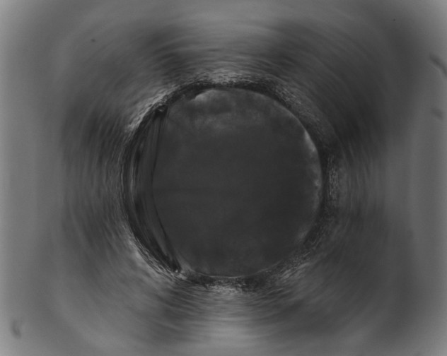 X0000100870592200807111320