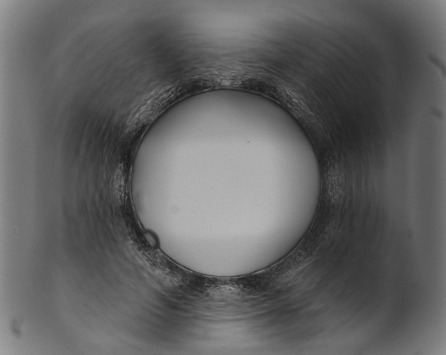 X0000100870594200807111320