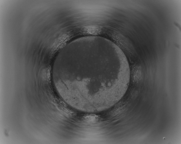 X0000100870595200807111320