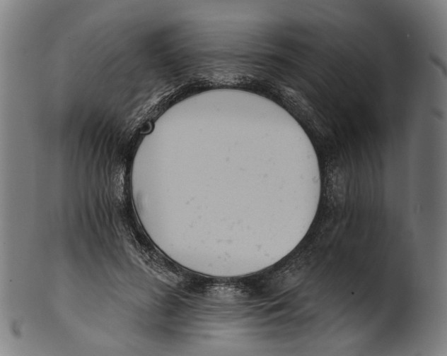 X0000100870596200807111320