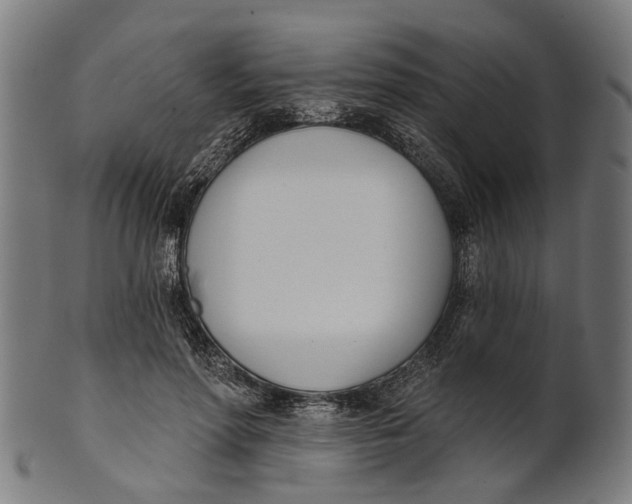 X0000100870598200807111320