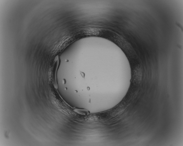 X0000100870600200807111320