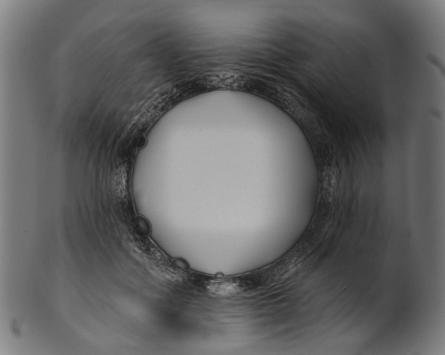 X0000100870602200807111319